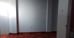 Alquilo Mini Departamento Remodelado – Rimac