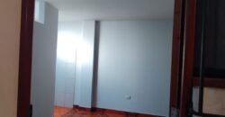 Alquilo Mini Departamento Remodelado – Rimac