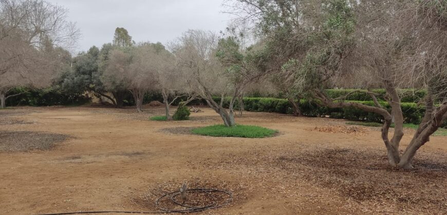 EXCELENTE TERRENO FUNDO EL OLIVAR EN PUCUSANA