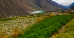 VENDO TERRENO EN OLLANTAYTAMBO, CUSCO