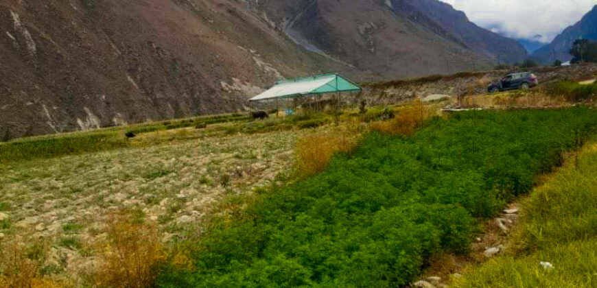 VENDO TERRENO EN OLLANTAYTAMBO, CUSCO