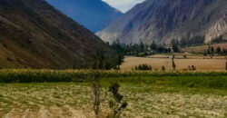 VENDO TERRENO EN OLLANTAYTAMBO, CUSCO