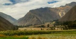 VENDO TERRENO EN OLLANTAYTAMBO, CUSCO