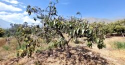 Venta de Terreno Agrícola en Cocachara a 20 Minutos de Chosica