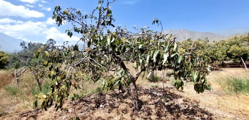 Venta de Terreno Agrícola en Cocachara a 20 Minutos de Chosica