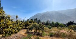 Venta de Terreno Agrícola en Cocachara a 20 Minutos de Chosica