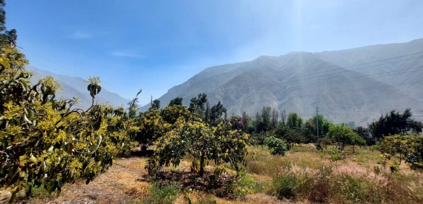 Venta de Terreno Agrícola en Cocachara a 20 Minutos de Chosica