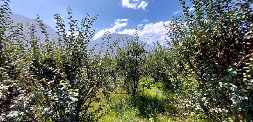 Venta de Terreno Agrícola en Cocachara a 20 Minutos de Chosica