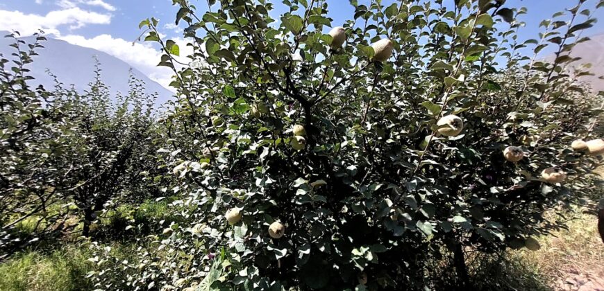 Venta de Terreno Agrícola en Cocachara a 20 Minutos de Chosica