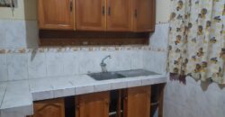 Departamento en San Juan de Lurigancho (80m2) – Venta