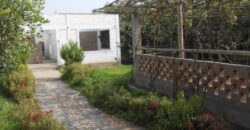 CASA HUERTA EN PACHACAMAC