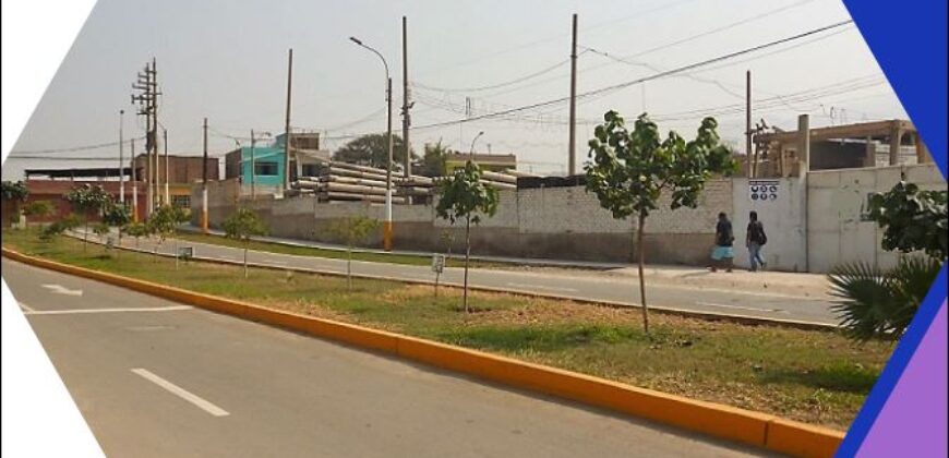 Gran y espectacular terreno en remate. Incl. Anteproyecto para viviendas PUENTE PIEDRA