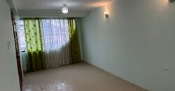 VENDO CASA EN AVENIDA DE 02 PISOS EN VILLA EL SALVADOR