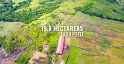 VENDO 19.8 HECTÁREAS EN TARAPOTO