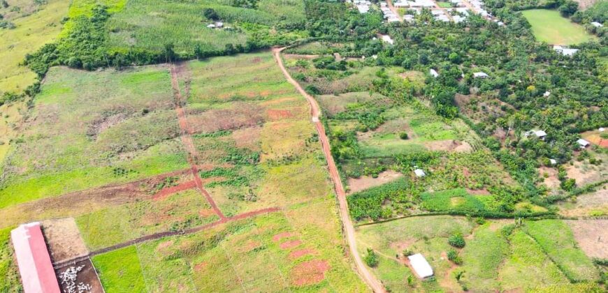 VENDO 19.8 HECTÁREAS EN TARAPOTO