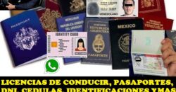 Licencias de conducir DNI pasaportes