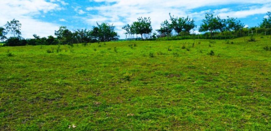 Naturaleza, tranquilidad y rentabilidad: Todo en un solo lugar.