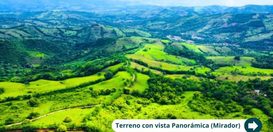 Naturaleza, tranquilidad y rentabilidad: Todo en un solo lugar.