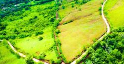 Naturaleza, tranquilidad y rentabilidad: Todo en un solo lugar.