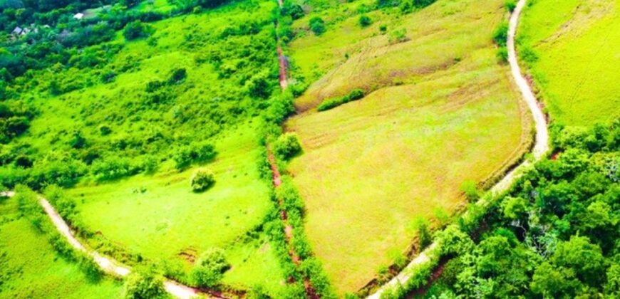 Naturaleza, tranquilidad y rentabilidad: Todo en un solo lugar.