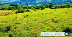 Naturaleza, tranquilidad y rentabilidad: Todo en un solo lugar.