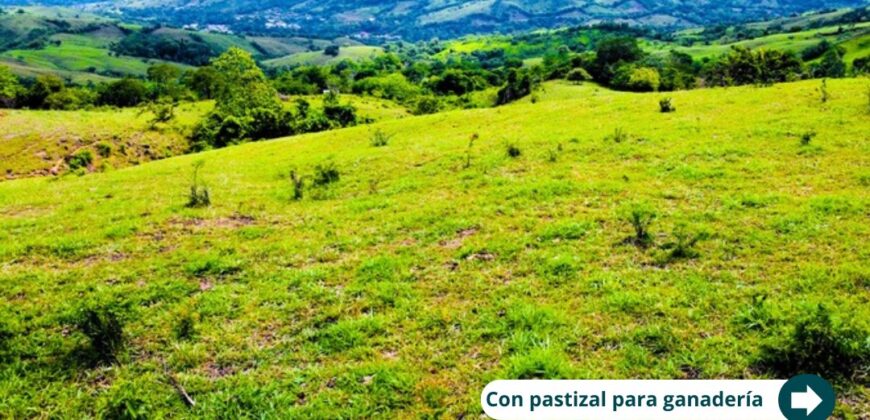 Naturaleza, tranquilidad y rentabilidad: Todo en un solo lugar.