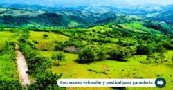 Naturaleza, tranquilidad y rentabilidad: Todo en un solo lugar.