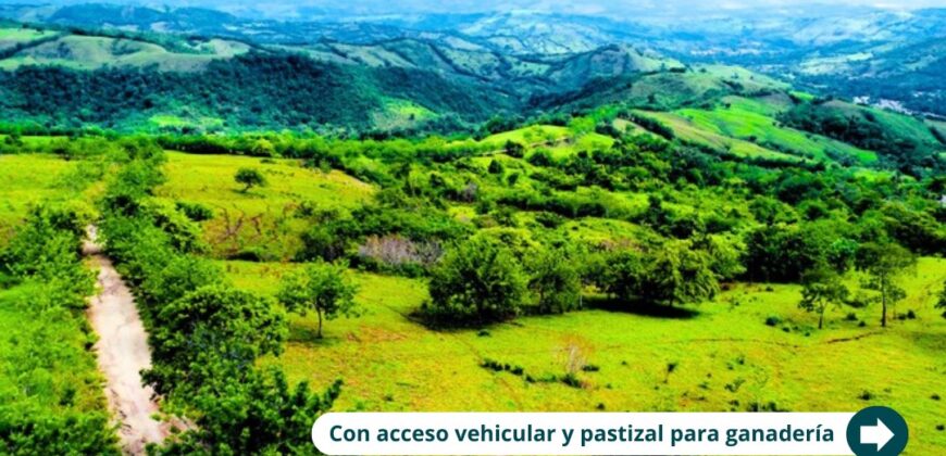 Naturaleza, tranquilidad y rentabilidad: Todo en un solo lugar.