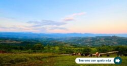 Naturaleza, tranquilidad y rentabilidad: Todo en un solo lugar.