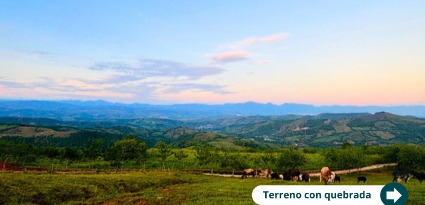 Naturaleza, tranquilidad y rentabilidad: Todo en un solo lugar.