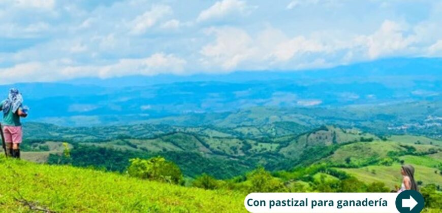 Naturaleza, tranquilidad y rentabilidad: Todo en un solo lugar.