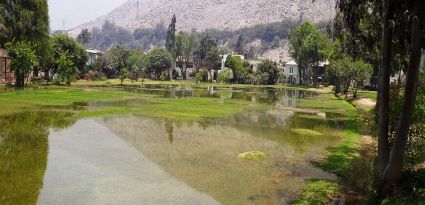 ALQUILO DEPA 1ER PISO CHACLACAYO-LOS GIRASOLES DE HUAMPANI