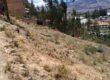 VENTA DE TERRENOS POR OCASIÓN – SANTA BÁRBARA – CAJAMARCA
