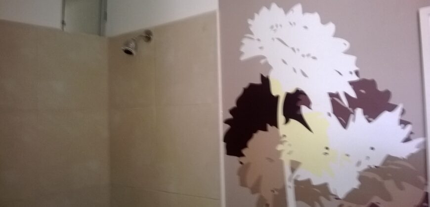 ALQUILO DEPARTAMENTO