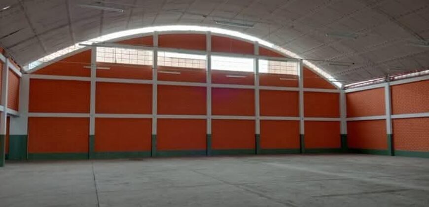 LOCAL INDUSTRIAL MICHAEL FARADAY – CERCA EVITAMIENTO – ATE
