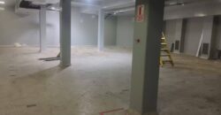 LOCAL INDUSTRIAL EN VENTA EN ATE