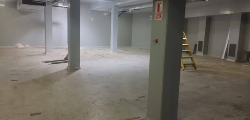LOCAL INDUSTRIAL EN VENTA EN ATE