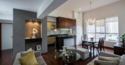 EXCELENTE PENTHOUSE EN SANTO TORIBIO